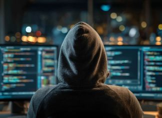 В регионах назвали главные киберугрозы и раскритиковали финансирование безопасности