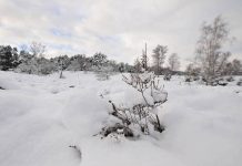 Что можно, а что нельзя делать 12 января в Анисьин день