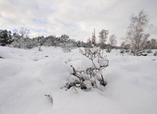 Что можно, а что нельзя делать 12 января в Анисьин день