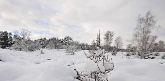 Что можно, а что нельзя делать 12 января в Анисьин день