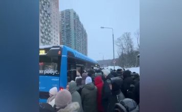 Экстремальный снегопад: фуры блокируют участки шоссе при въезде в столицу