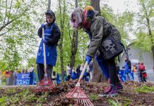 Каждый шестой россиянин игнорирует субботники: «Убирать должны дворники, а не жители»